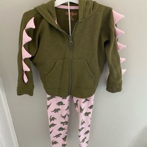 Dinosaur hoodie and pants set